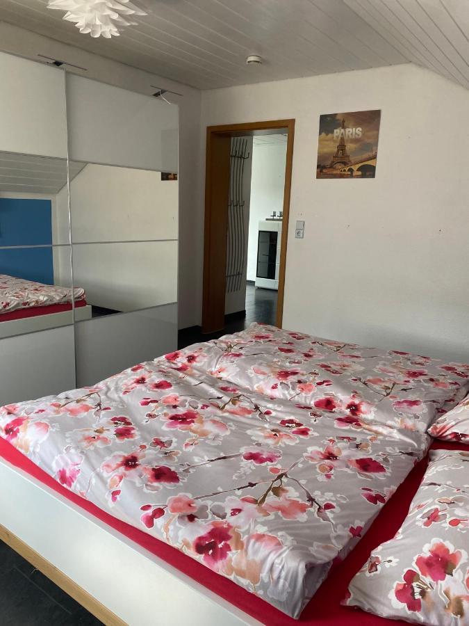 Moderne Ferienwohnung Neckarschleife Mit Klimaanlage Kirchheim am Neckar Εξωτερικό φωτογραφία